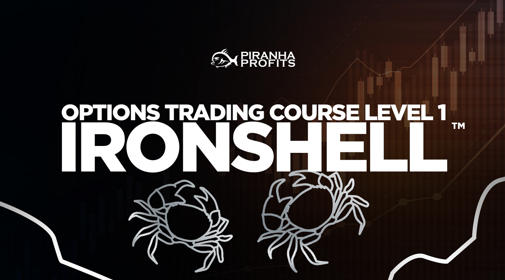 Adam Khoo - Options Trading Course Level 1: Options Ironshell