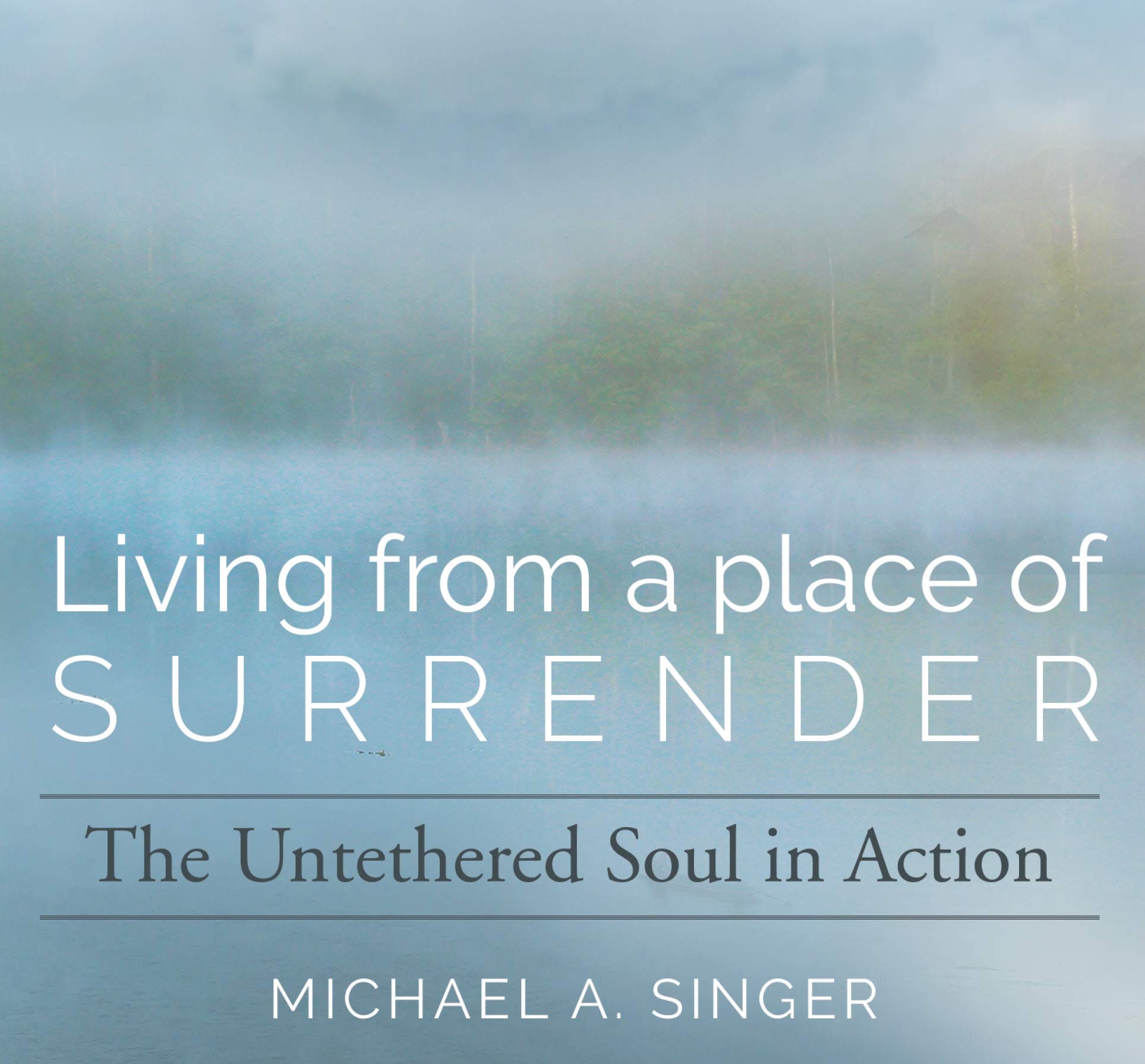 Michael Singer - Living From A Place Of Surrender