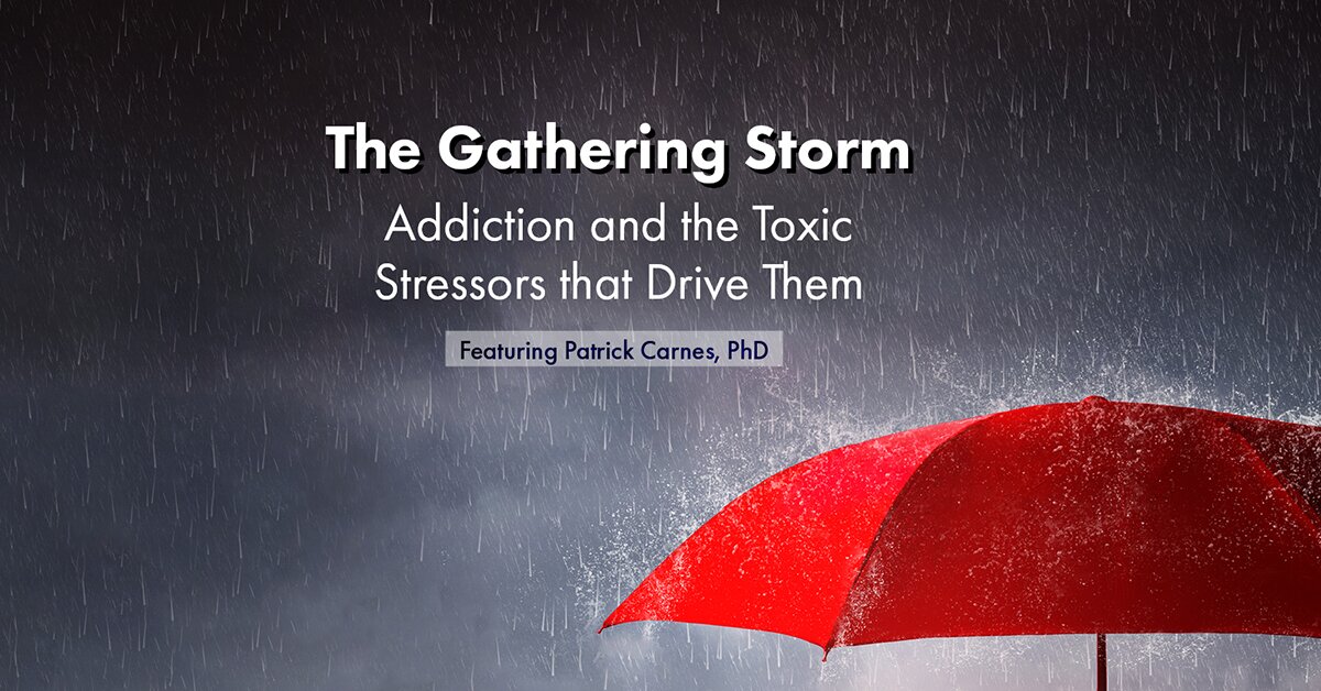 Patrick Carnes - The Gathering Storm: Addiction and the Toxic Stressors that Drive Them