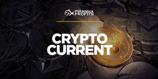 Piranha Profits - Cryptocurrency Trading Course - Crypto Current