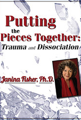 Putting the Pieces Together: Trauma and Dissociation - Janina Fisher
