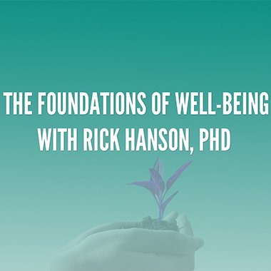 Rick Hanson - The Foundations of Well-Being (Complete)