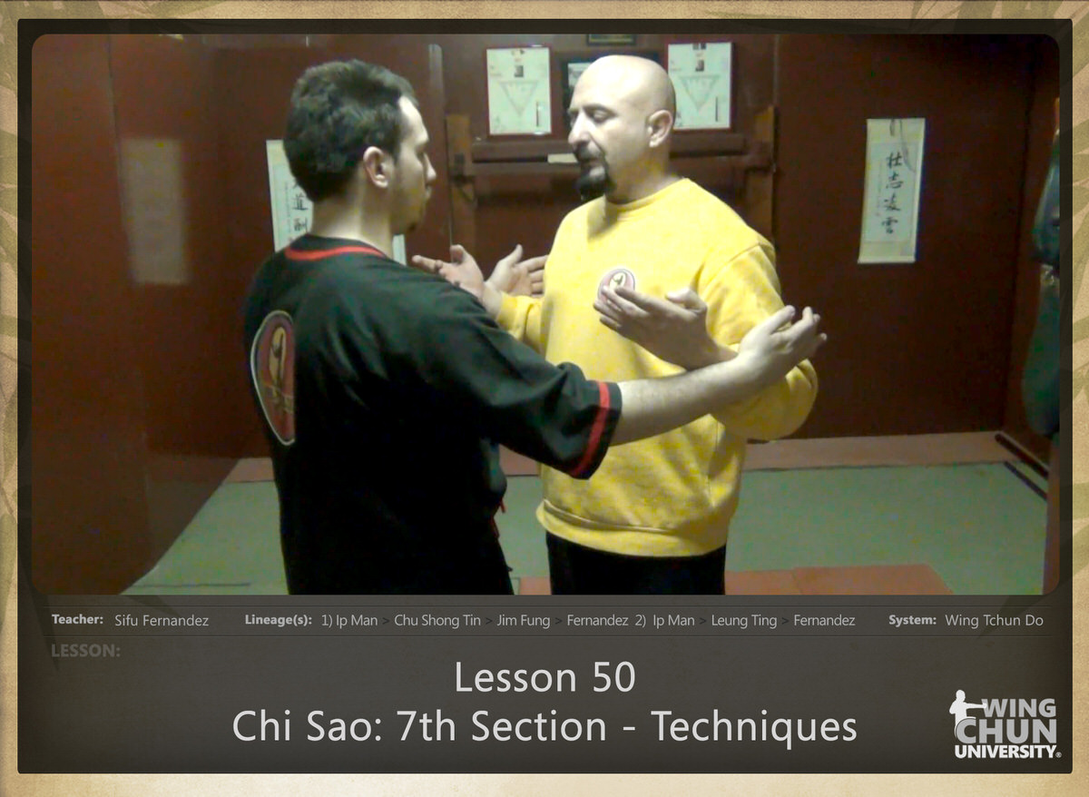 Sifu Fernandez - WingTchunDo - Lesson 50 - Chi Sao - 7th Section - Techniques