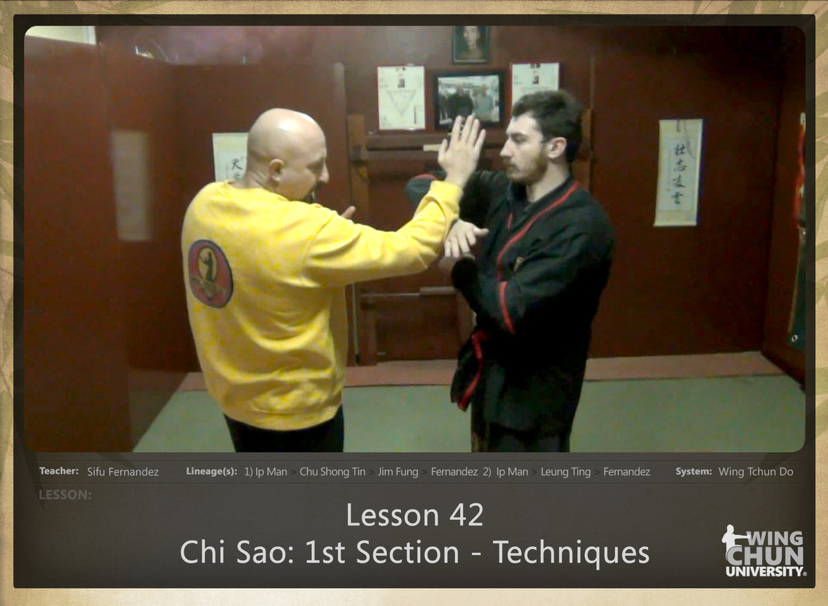 Sifu Fernandez - WingTchunDo - Lesson 42 - Chi Sao - 1st Section - Techniques