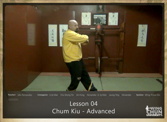Sifu Fernandez - WingTchunDo - Lesson 04 - Chum Kiu - Advanced