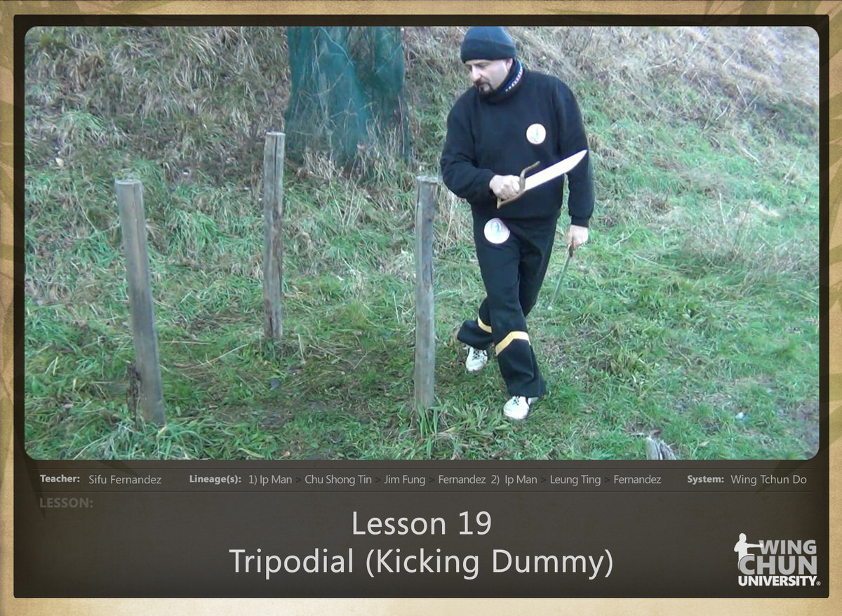 Sifu Fernandez - WingTchunDo - Lesson 19 - Tripodial (Kicking Dummy)