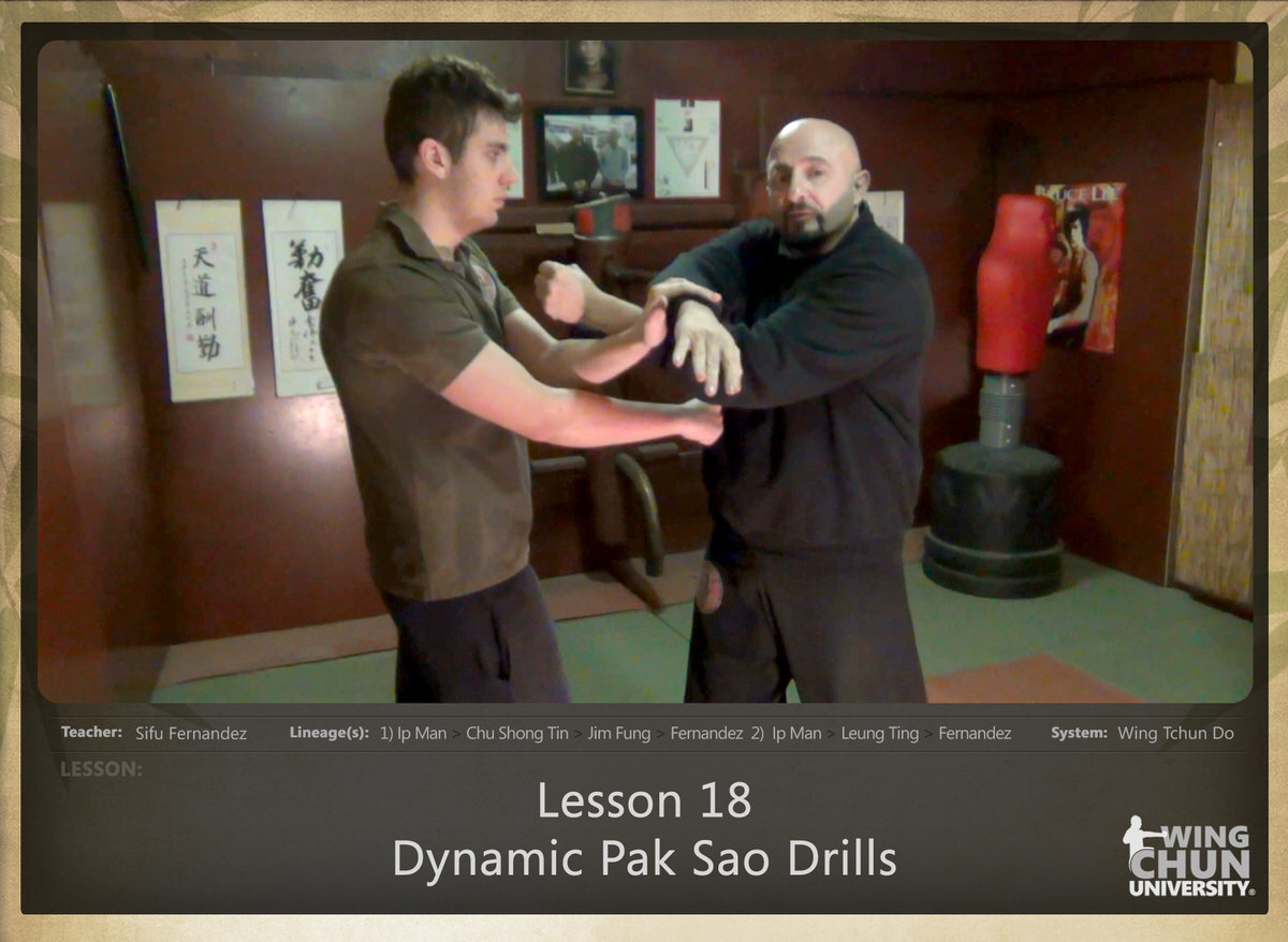 Sifu Fernandez - WingTchunDo - Lesson 18 - Dynamic Pak Sao Drills
