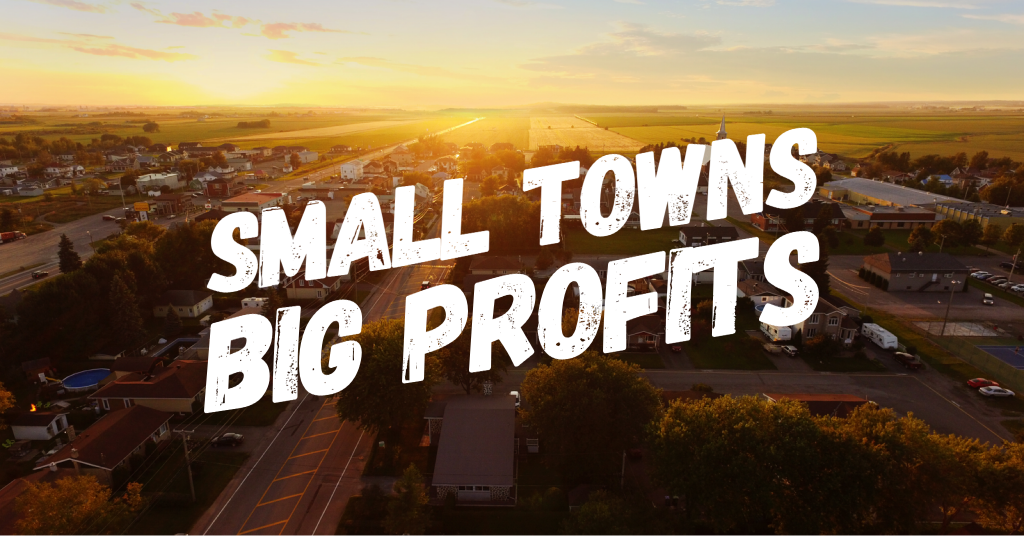 Small Town Profits - Larry Goins