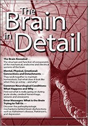 The Brain in Detail - Mary T. Johnson