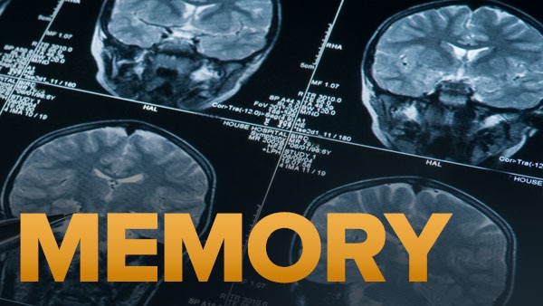 TTC Video - Prof. Steve Joordens - Memory and the Human Lifespan