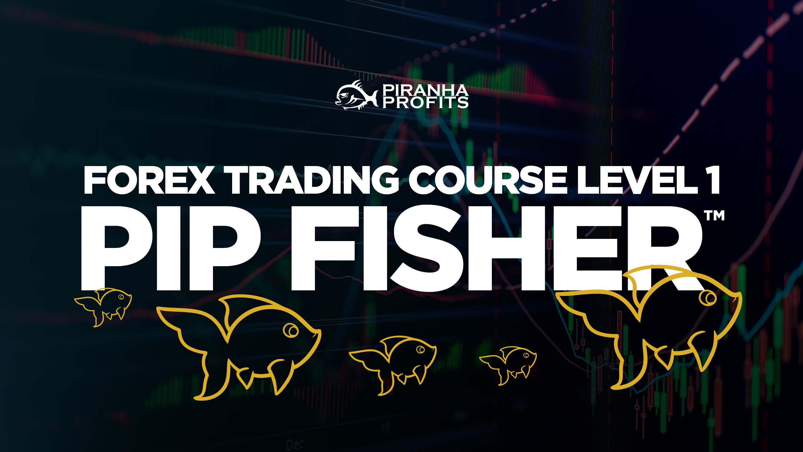 Adam Khoo - Forex Trading Course Level 1 - Pip Fisher