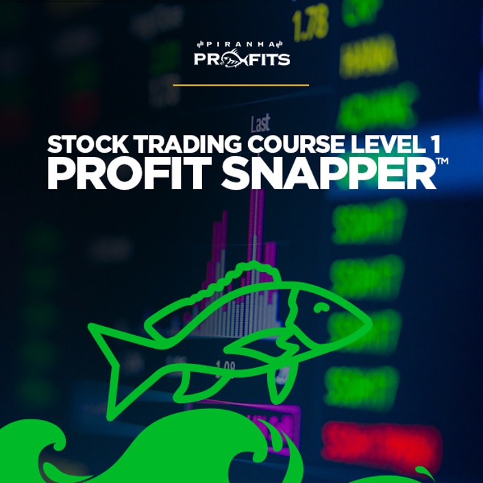 Adam Khoo - Stock Trading Course Level 1 Profit Snapper 2021