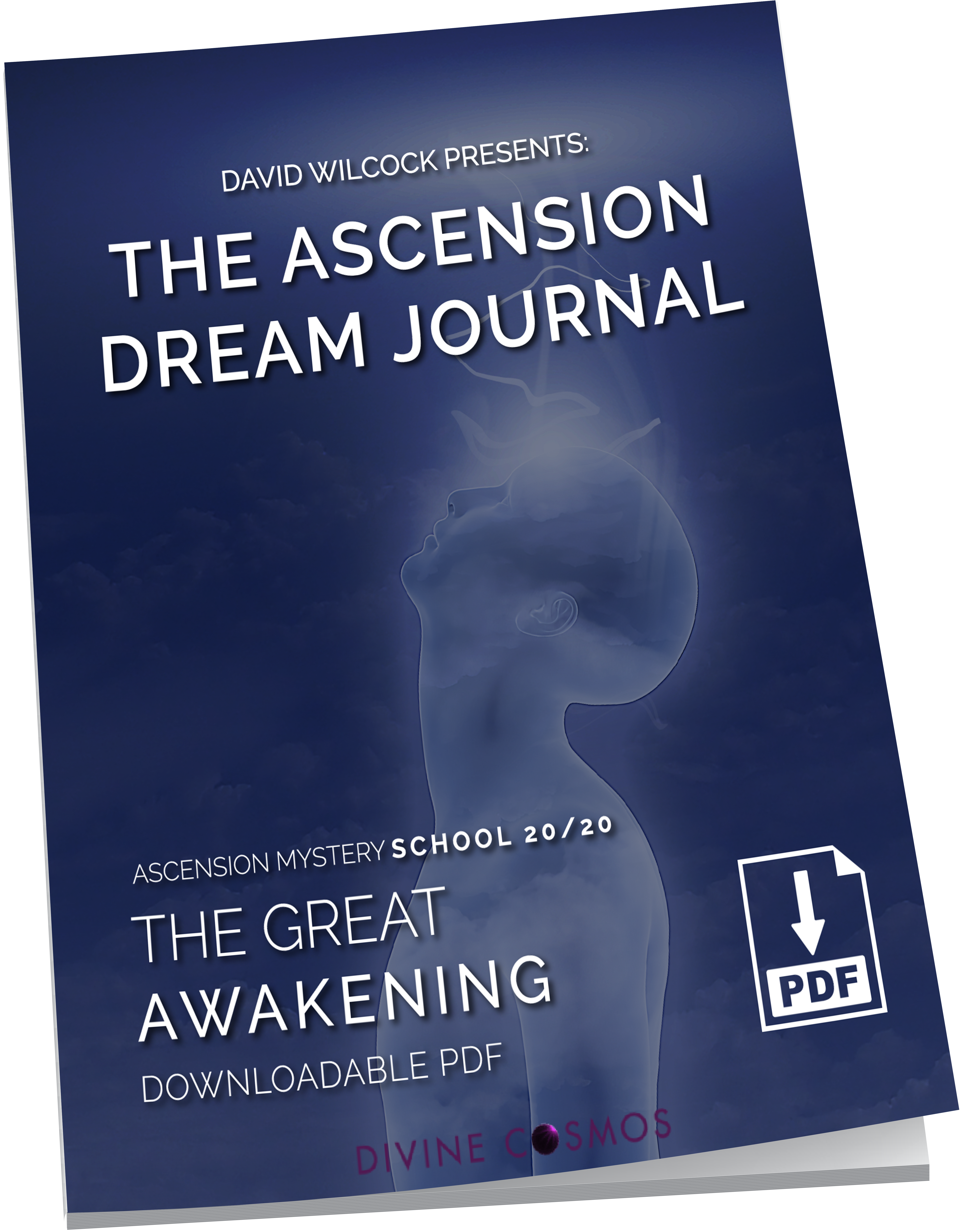 Divine Cosmos David Wilcock - Ascension Mystery School