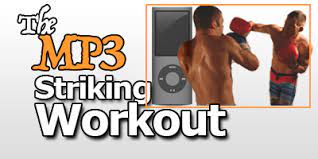 Fight Smart - Striking Workout MP3 (by Travis Roesler)