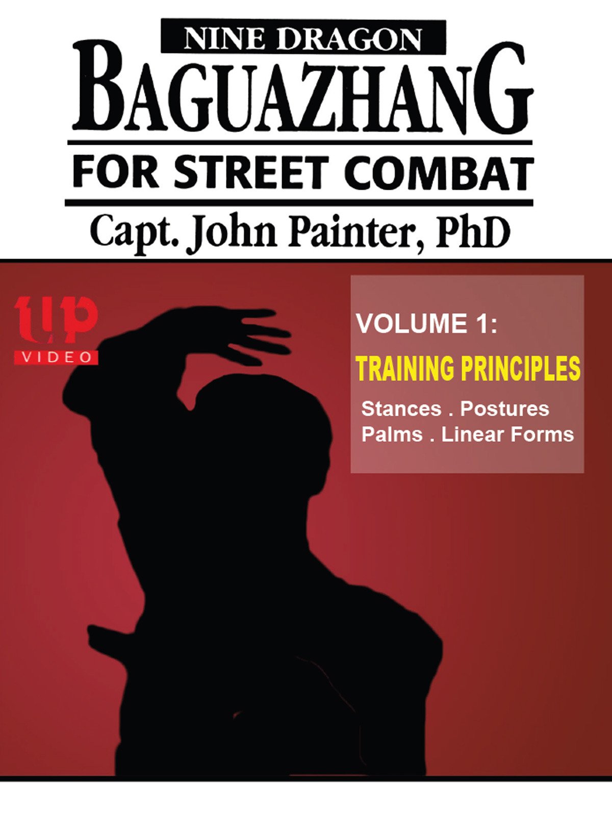 John Painter - Bagua Street Combat
