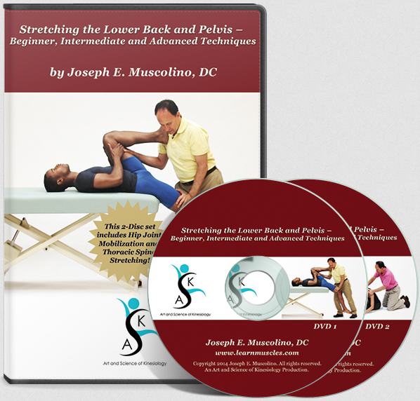 Joseph Muscolino - Stretching the Lower Back and Pelvis - Beginner, Intermediate and Advanced Techniques