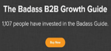 Josh Braun - The Badass B2B Growth Guide