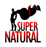 Julian Foxx - The Supernatural Survival Guide