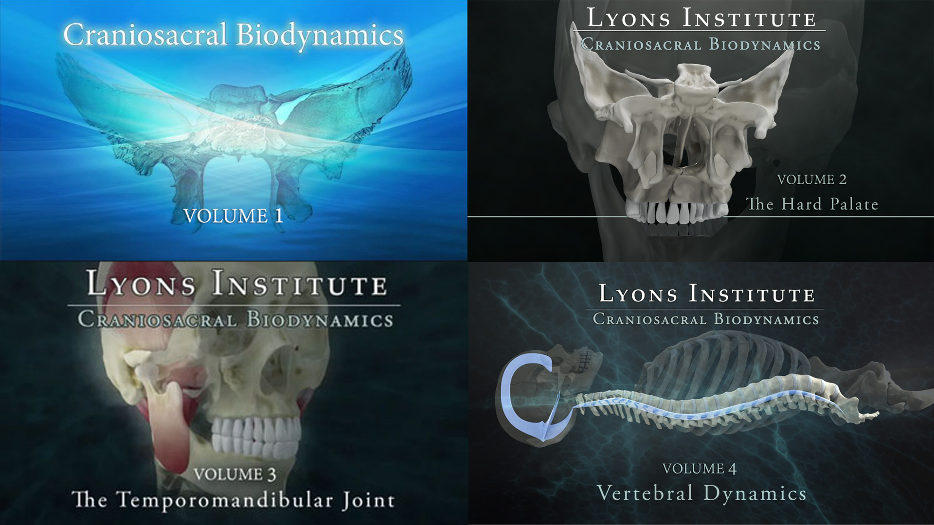 Lyons Institute - Biodynamic Craniosacral Therapy: Volume 1