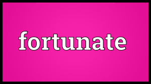 A.E.Partridge - Fortunate Hours