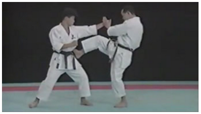 Best Karate Kkk Techmques - Seiji Nishimura