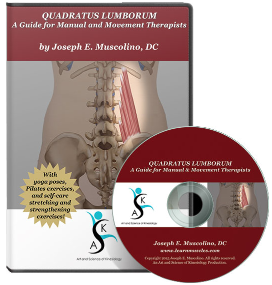 Joseph Muscolino - Quadratus Lumborum - A Guide for Manual & Movement Therapist
