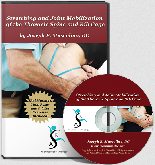 Joseph Muscolino - Stretching and Joint Mobilization of the Thoracic Spine and Rib Cage