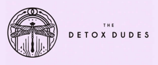 Josh Macin - Detox Dudes - The Transformational Detoxification Masterclass ( 2019 )