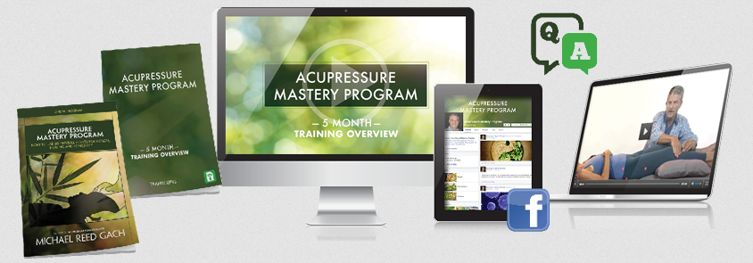 Michael Reed Gach - Acupressure Mastery Program, Month 3 webinar + Month 4
