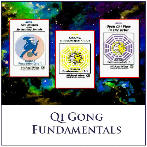 Michael Winn - Qigong Fundamentals 1 and 2 - Medical and Spiritual Qigong - Asheville 2015