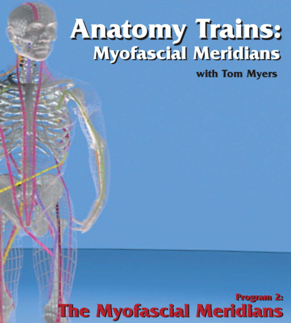 Tom Myers - Anatomy Trains - Myofascial Meridians