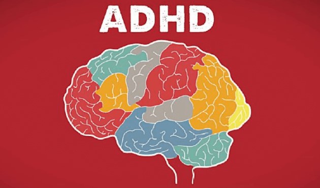 Adult ADHD Help Guide Reclaim Your Scattered Mind