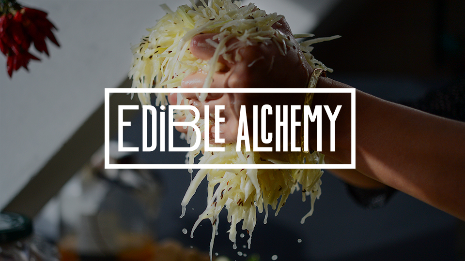 Alexis Goertz - Edible Alchemy Academy - Probiotic Foods - Full Course