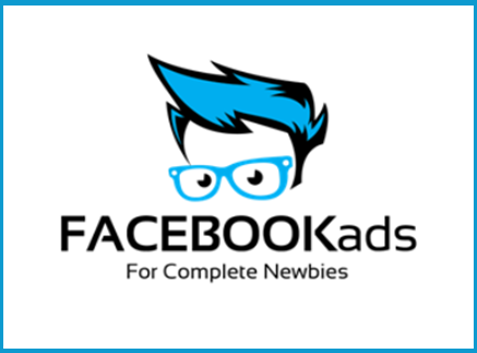 Danny Veiga - Facebook Ads For Complete Newbies