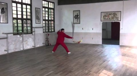 Deng Fuming - Sun-style Xingyi Ba Shi Qang Actual Combat