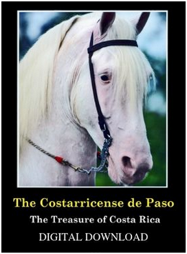Gary M. Douglas - Costarricense De Paso - The Treasure of Costa Rica