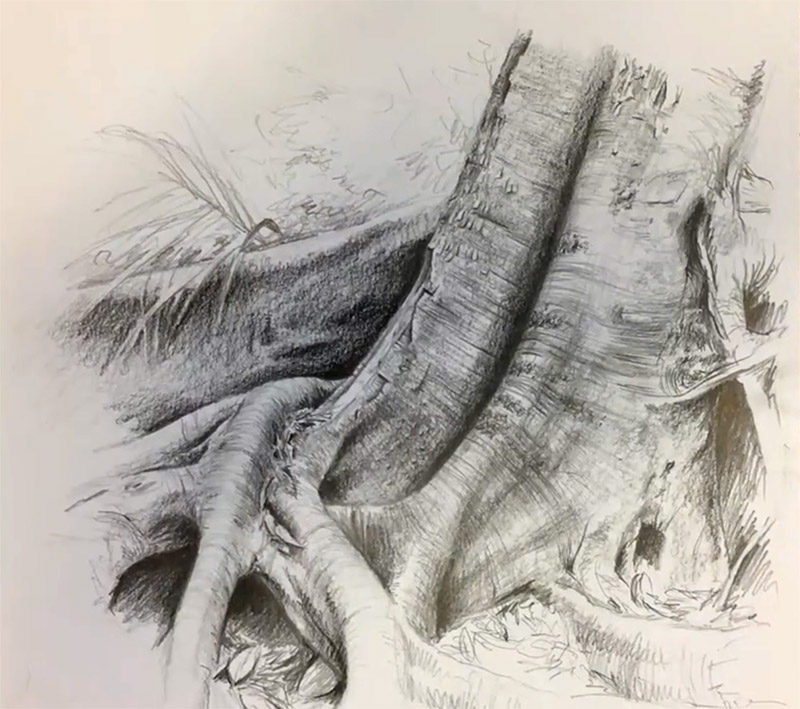 Murray Charteris - Drawing Trees