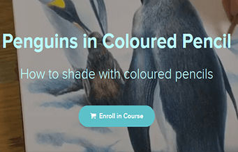 Murray Charteris - Penguins in Coloured Pencil
