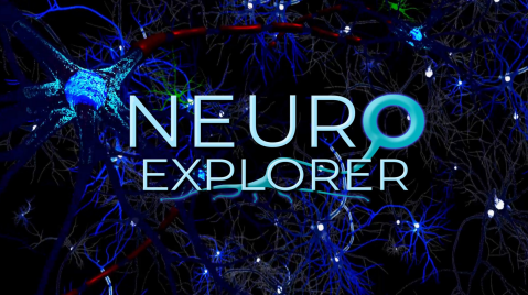 Neuroexplorer 3.093