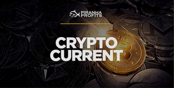 Cryptocurrency Investing Course: Crypto Current - Piranha Profits