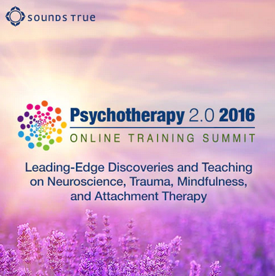 Diane Poole Heller - Psychotherapy 2.0 2016 Online Training Summit