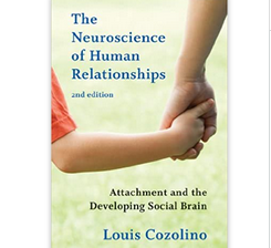 Louis Cozolino - The Neuroscience of Human Relationships: Attachment and the Developing Social Brain (Norton Series on Interpersonal Neurobiology) Second Edition
