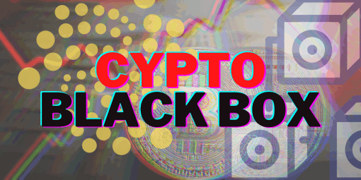 Bryce Paul & Aaron Malone - Crypto Blackbox