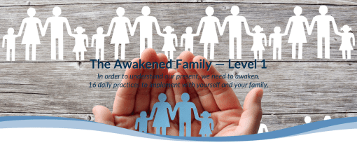 Dr. Shefali - The Awakened Family - Level 1