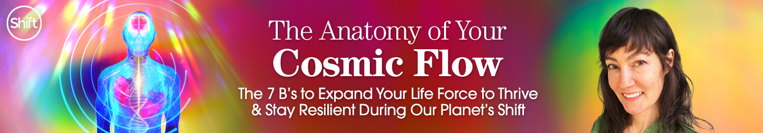 Masami Covey - The Anatomy of Your Cosmic Flow 2022