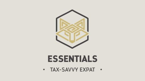 Stewart Patton - Tax-Savvy Expat: Essentials