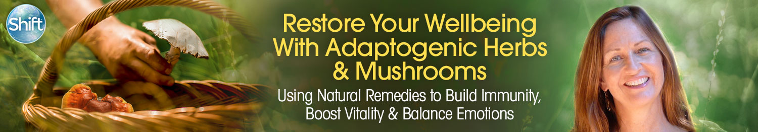 Teresa Boardwine - Restore Your Wellbeing Using Adaptogenic Herbs & Mushrooms 2022