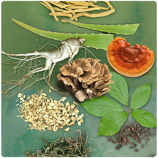 Teresa Boardwine - Restore Your Wellbeing Using Adaptogenic Herbs & Mushrooms 2022